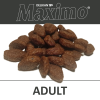 F1A D Maximo Adult VZ 1200px web