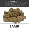 F1B D Maximo Lamb VZ 1200px web