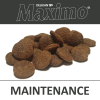 F1C D Maximo Maintenance VZ 1200px web