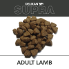 G4F D SUPRA AdultLamb Vzorek web 1200px