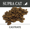 B1C D SUPRACAT Castrate Vzorky web 1200px