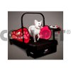 Běhací pás pro velké psy DOG PACER LF 3.1