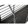 Běžecký pás Dog Runner – Revolution Pro