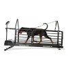 Běžecký pás Dog Runner – Revolution Pro