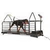 Běžecký pás Dog Runner – Revolution Pro