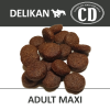 E1A D CD AdultMaxi Vzorky 1200px web