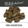 M1B D Hlodavci Morcata Vzorky web 1200px