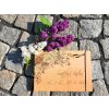 Dřevěné fotoalbum Květinový roh