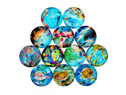 Round cabochon 25 mm, sea pattern