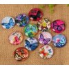 Round cabochon 25 mm, butterfly pattern