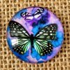 Round cabochon 25 mm, butterfly pattern