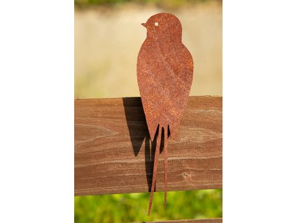 web C u DSC04439 Edit