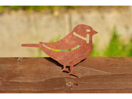 web C u DSC04436 Edit kopie