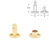 double cap rivet brass 10 pcs 3665 l