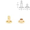 double cap rivet brass 10 pcs 3664 l