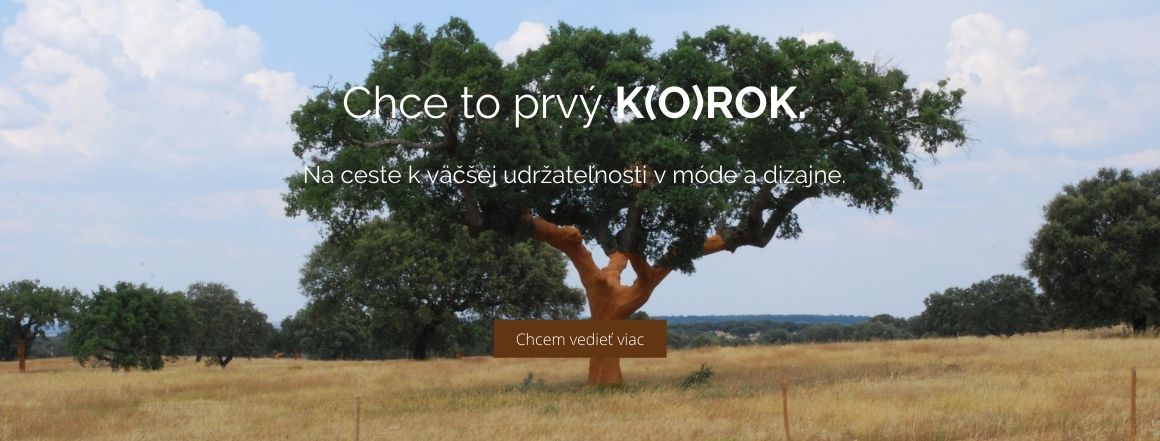 Prvý k(o)rok