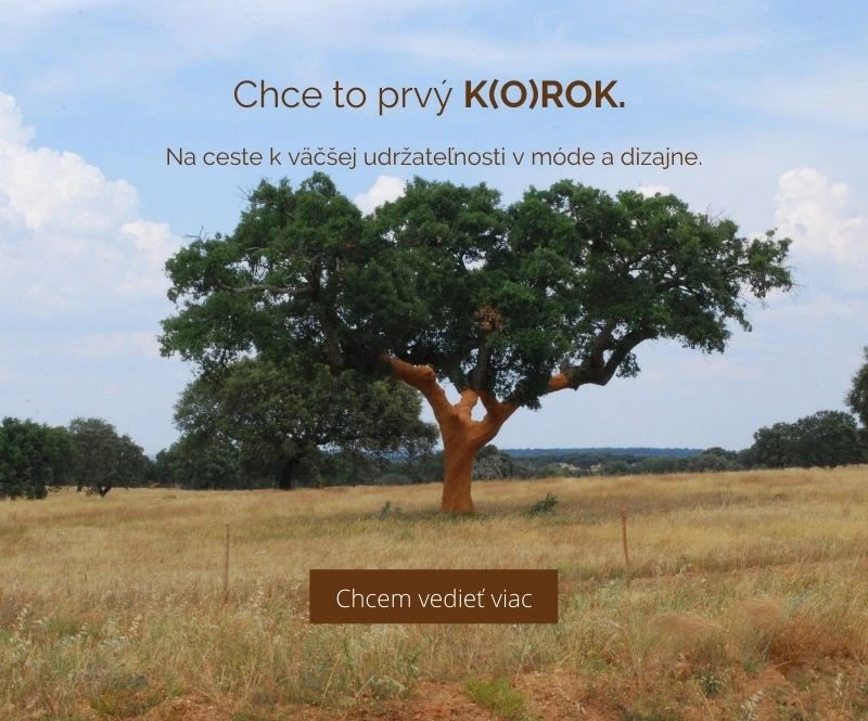 Prvý korok