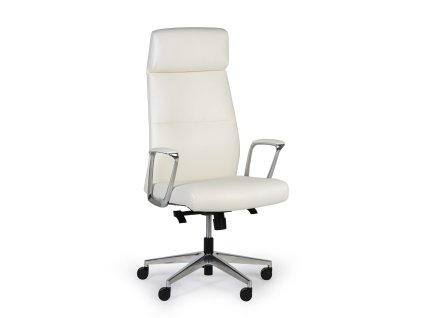 kancelarska zidle marcus bila 92124