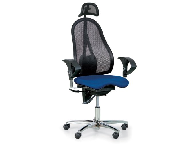 zdravotni balancni kancelarska zidle exeter net s operkou hlavy modra 7486