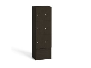 Dřevěná odkládací skříňka s úložnými boxy, 6 boxů, 1700 x 600 x 420 mm, cylindrický zámek, wenge
