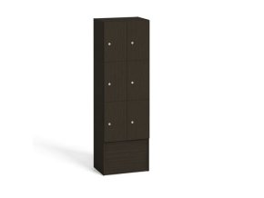 Dřevěná odkládací skříňka s úložnými boxy, 6 boxů, wenge