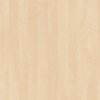 Třídicí regál s dveřmi PRIMO WOOD, 800 x 420 x 1781 mm, 27 přihrádek, bříza