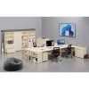 Třídicí regál s dveřmi PRIMO WOOD, 800 x 420 x 1781 mm, 27 přihrádek, bříza