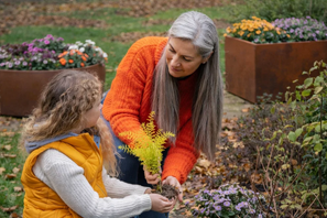 5 dôvodov, prečo sú kvetináče z cortenovej ocele lepšou voľbou než bežné oceľové kvetináče