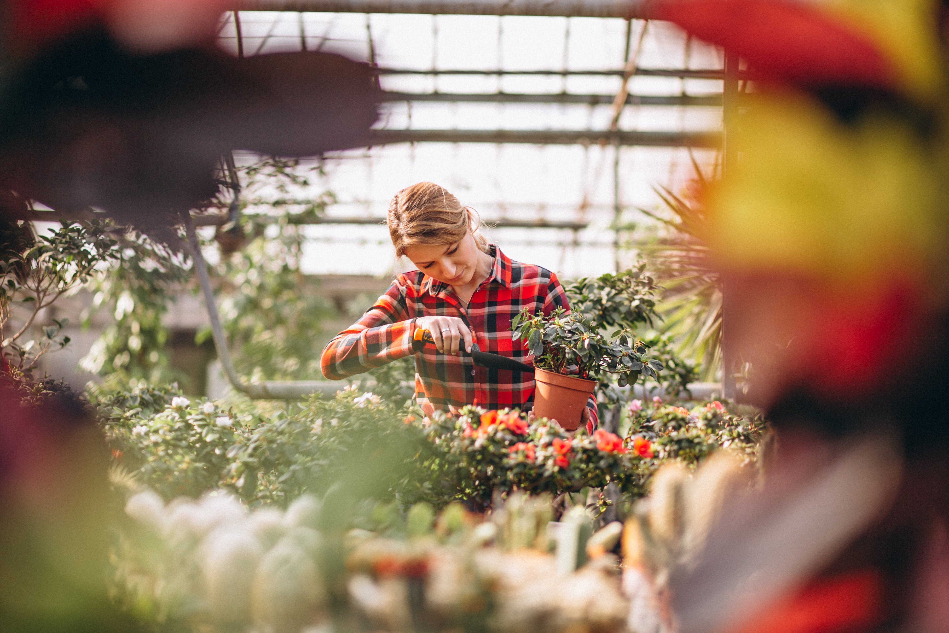 woman-gardner-looking-after-plants-greenhouse