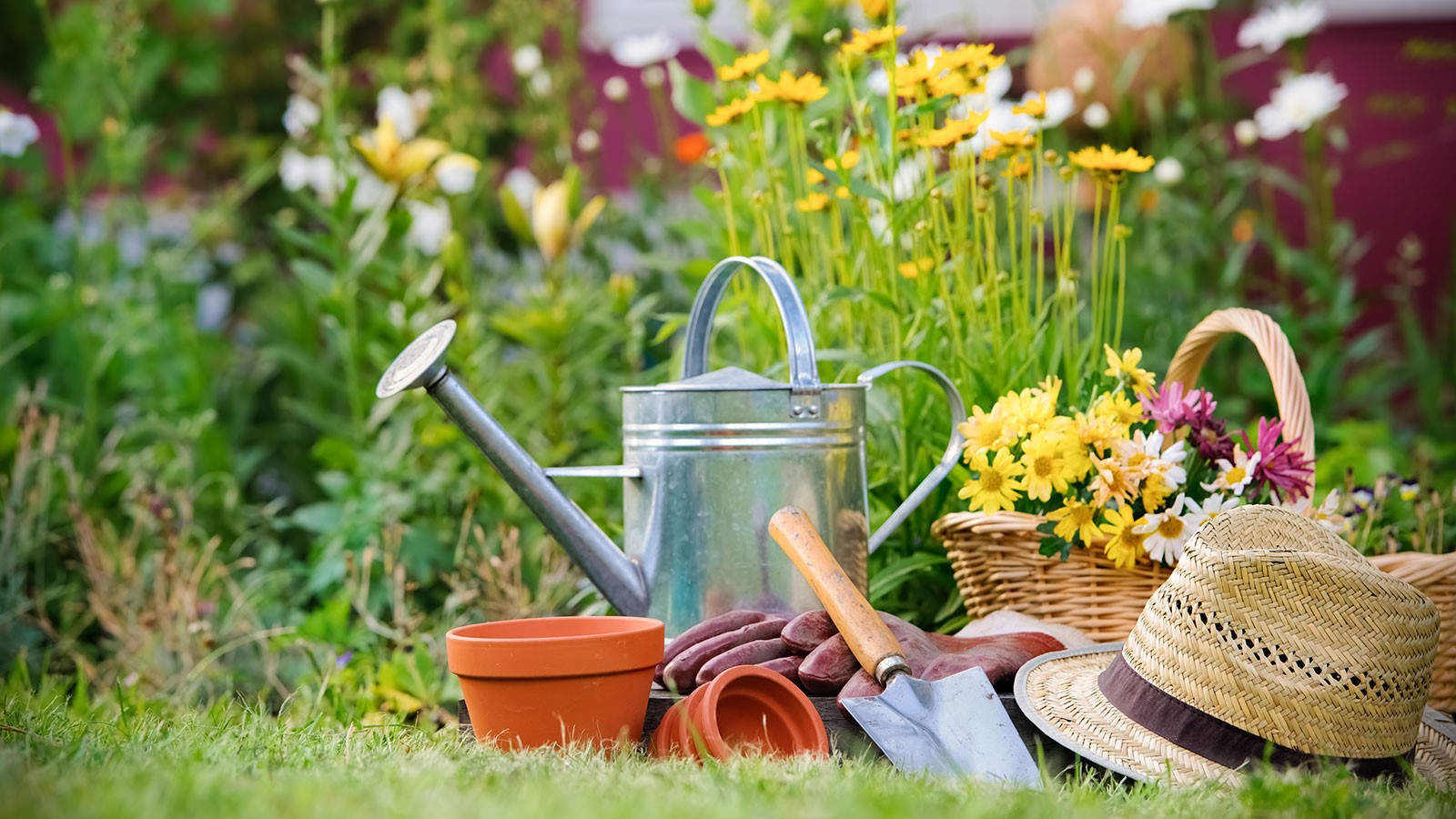 Květen v zahradě: Když se příroda probouzí do plné krásy
