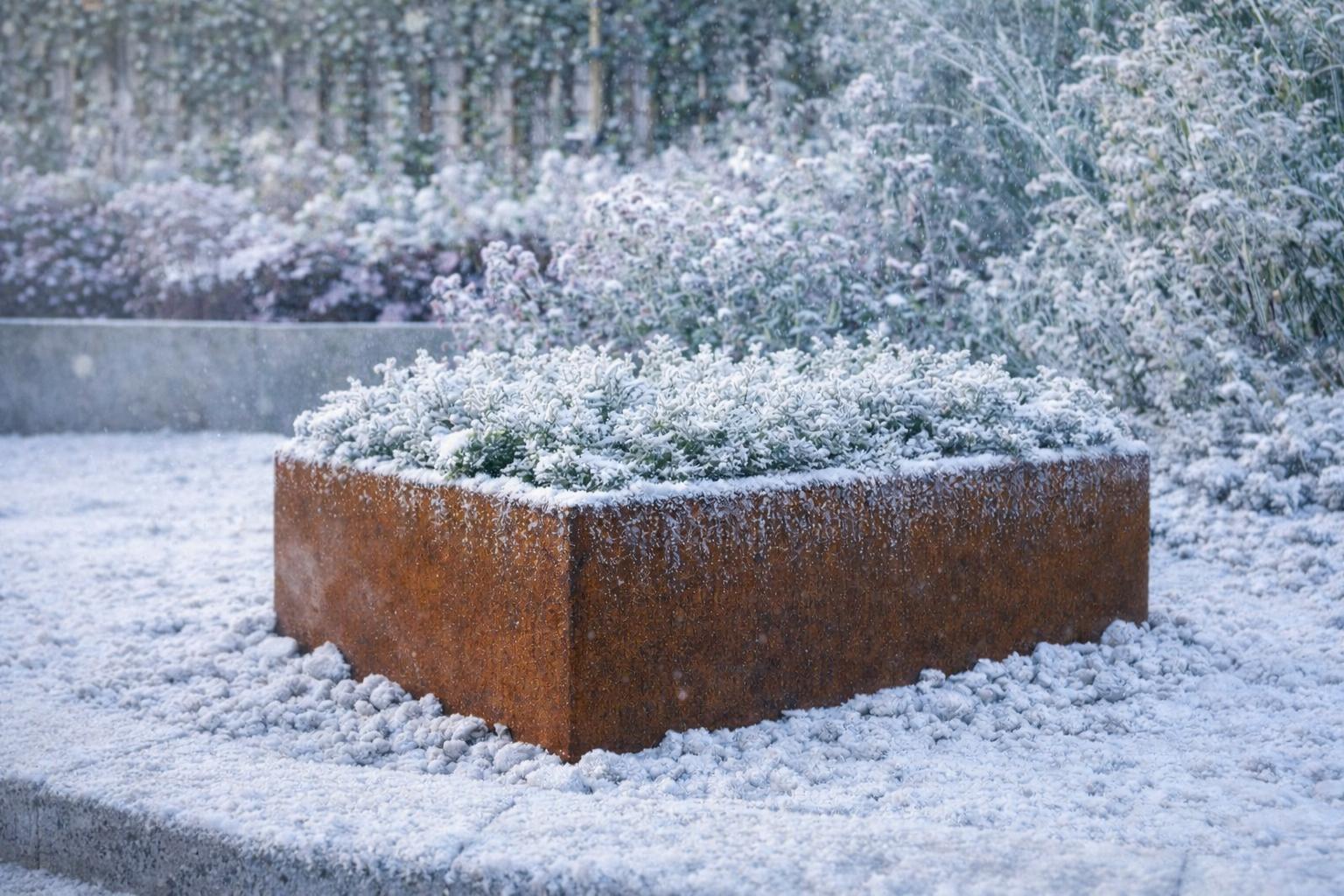 Prosinec v zahradě - Splňte si sny, když zahrada spí