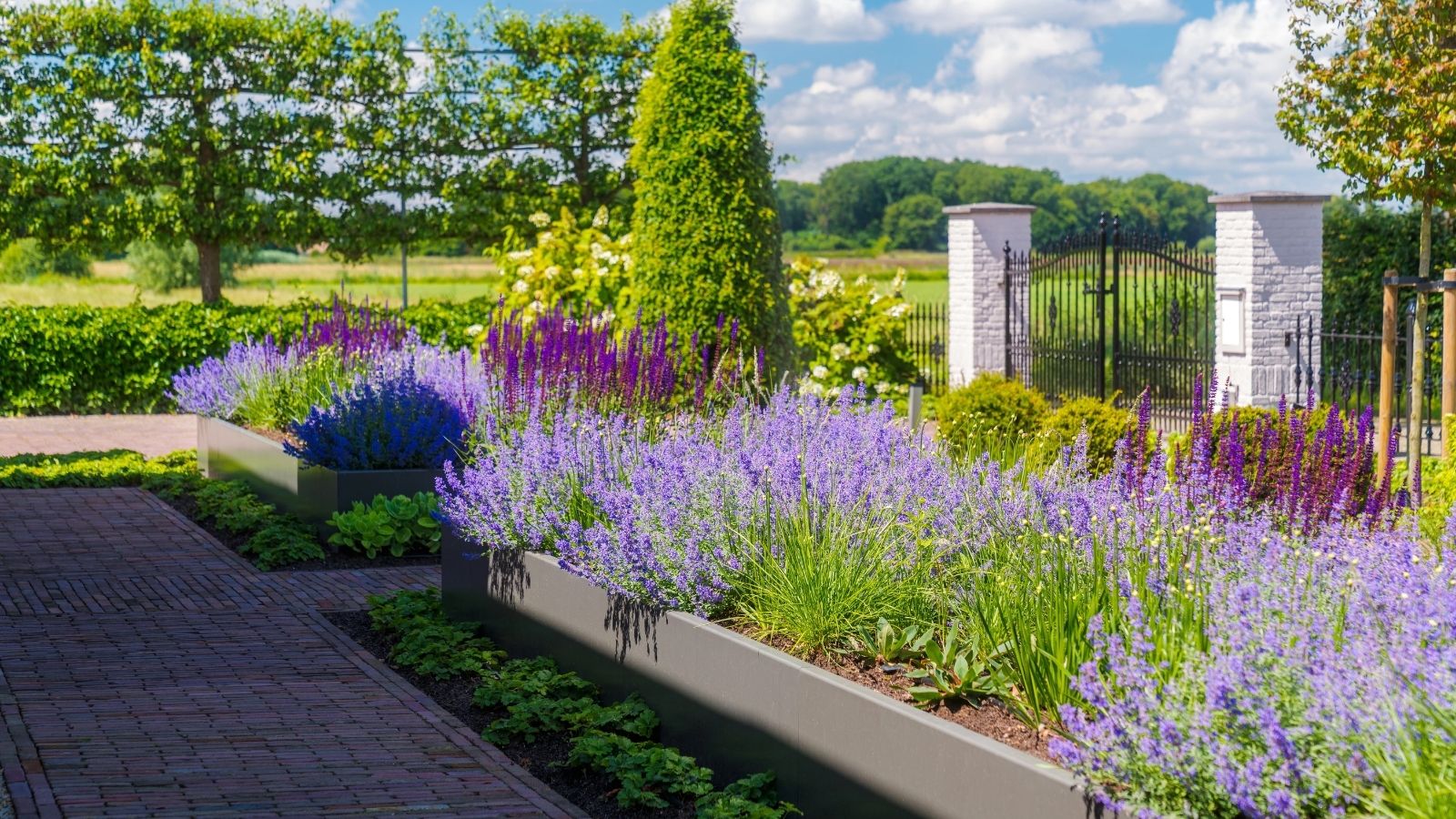 Červenec v zahradě – čas sklizně i radovánek