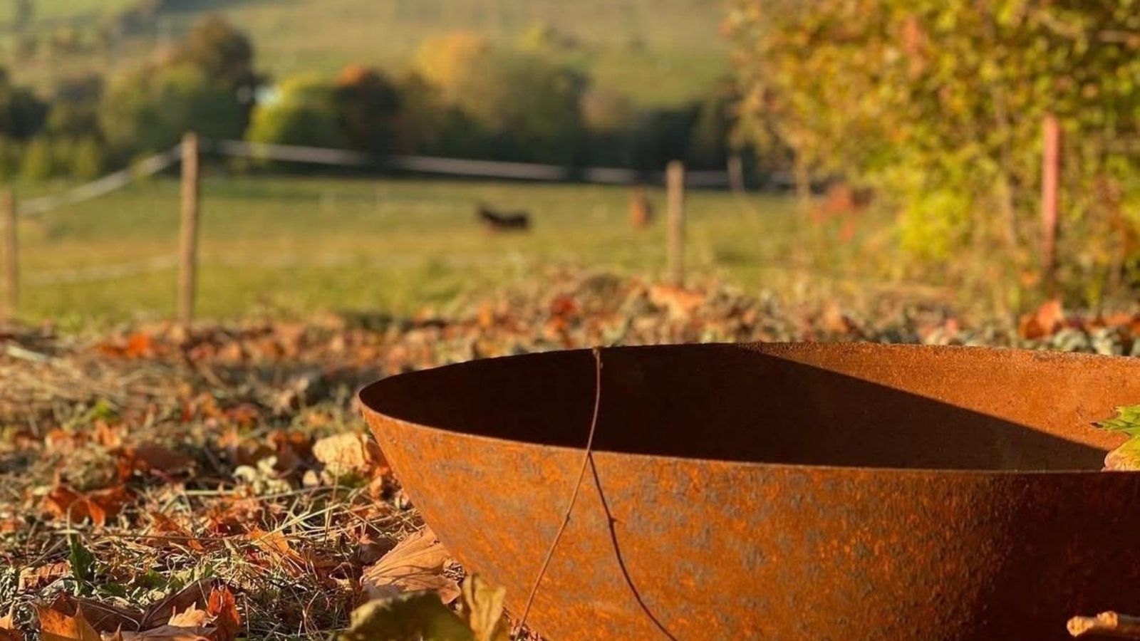 Listopad v zahradě - Světlo svíček, ježci v listí i první sníh.