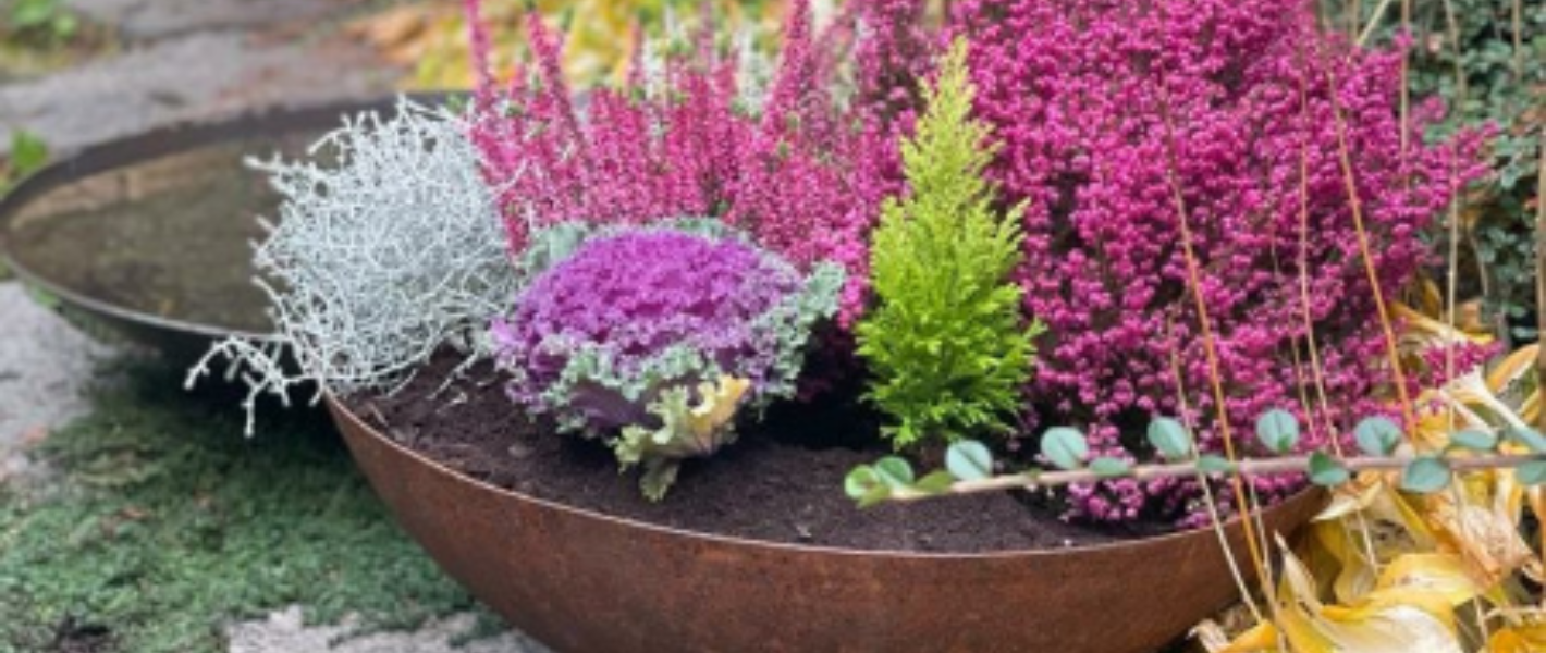 Vodní mísa, ohniště nebo květináč?