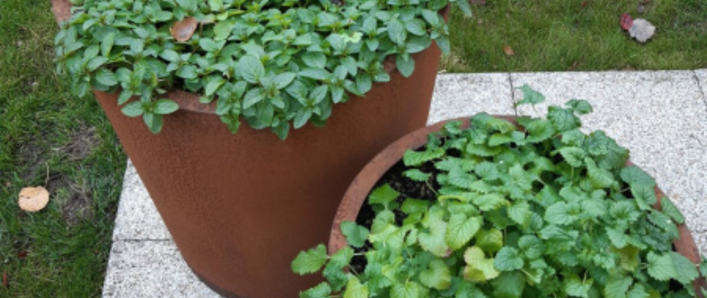 Bylinková zahrádka stylově