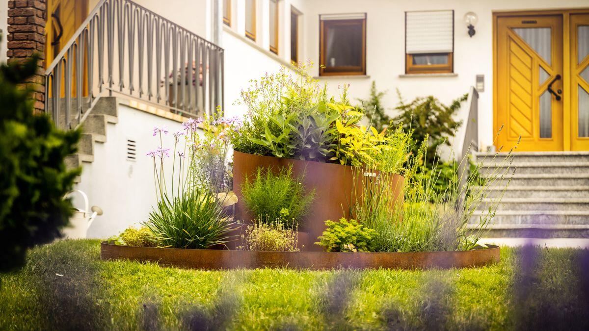 Bylinky v nejlepší kondici: V čem jim to bude nejvíce slušet?