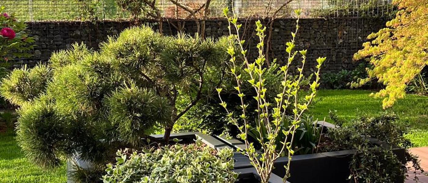 Terasa s hliníkovými květináči