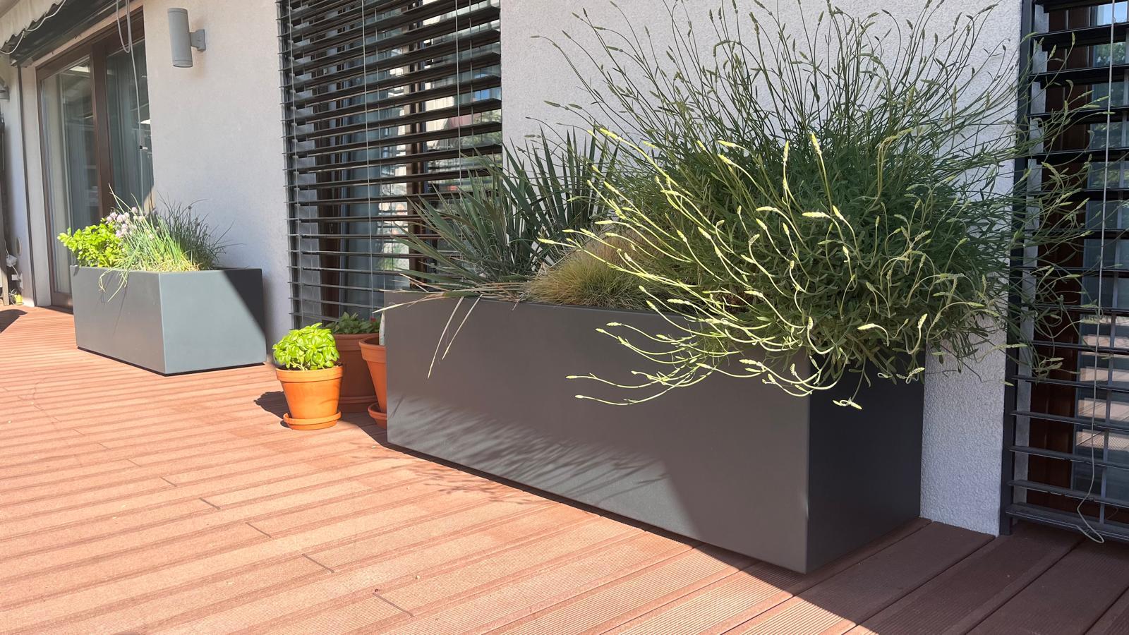 Výsadba okrasných dřevin v hliníkových květináčích