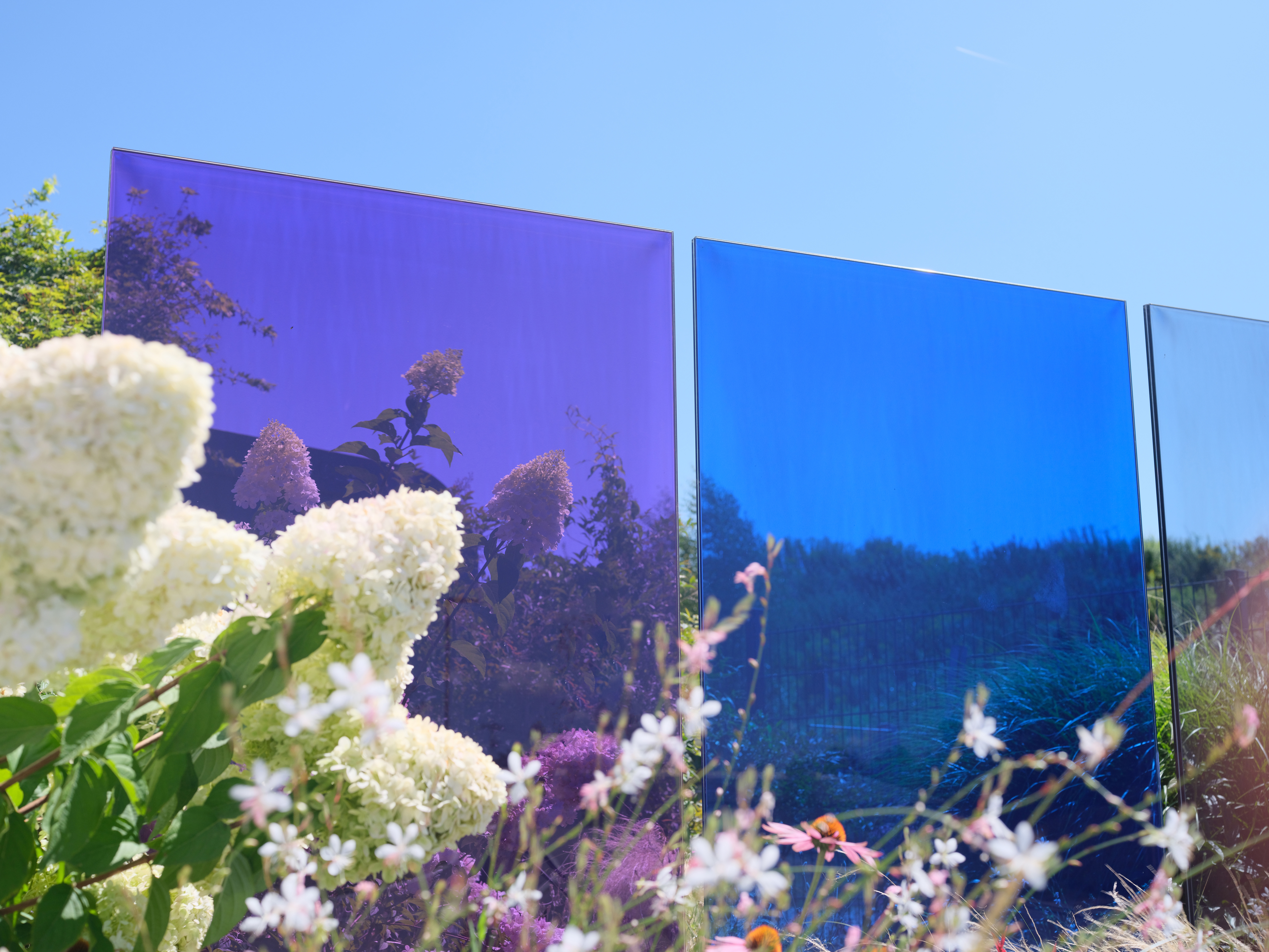 Ozdobné zahradní panely KNUMOX Purple Blossom pro členění prostoru a dekorativní zástěnu