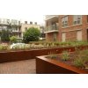 ADEZZ Retaining Walls Corten 010