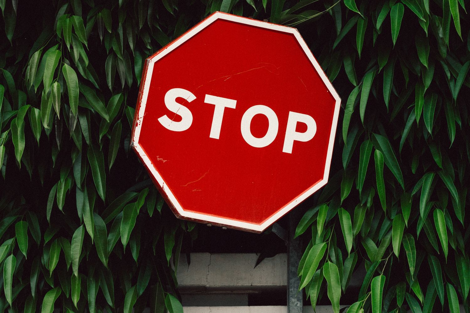 3 největší chyby, které děláte v přírodním barvení