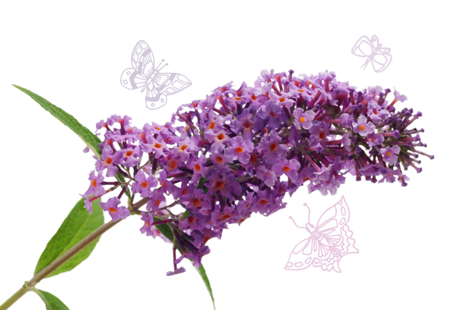 Berlínské opalováky - Sun Protect řada