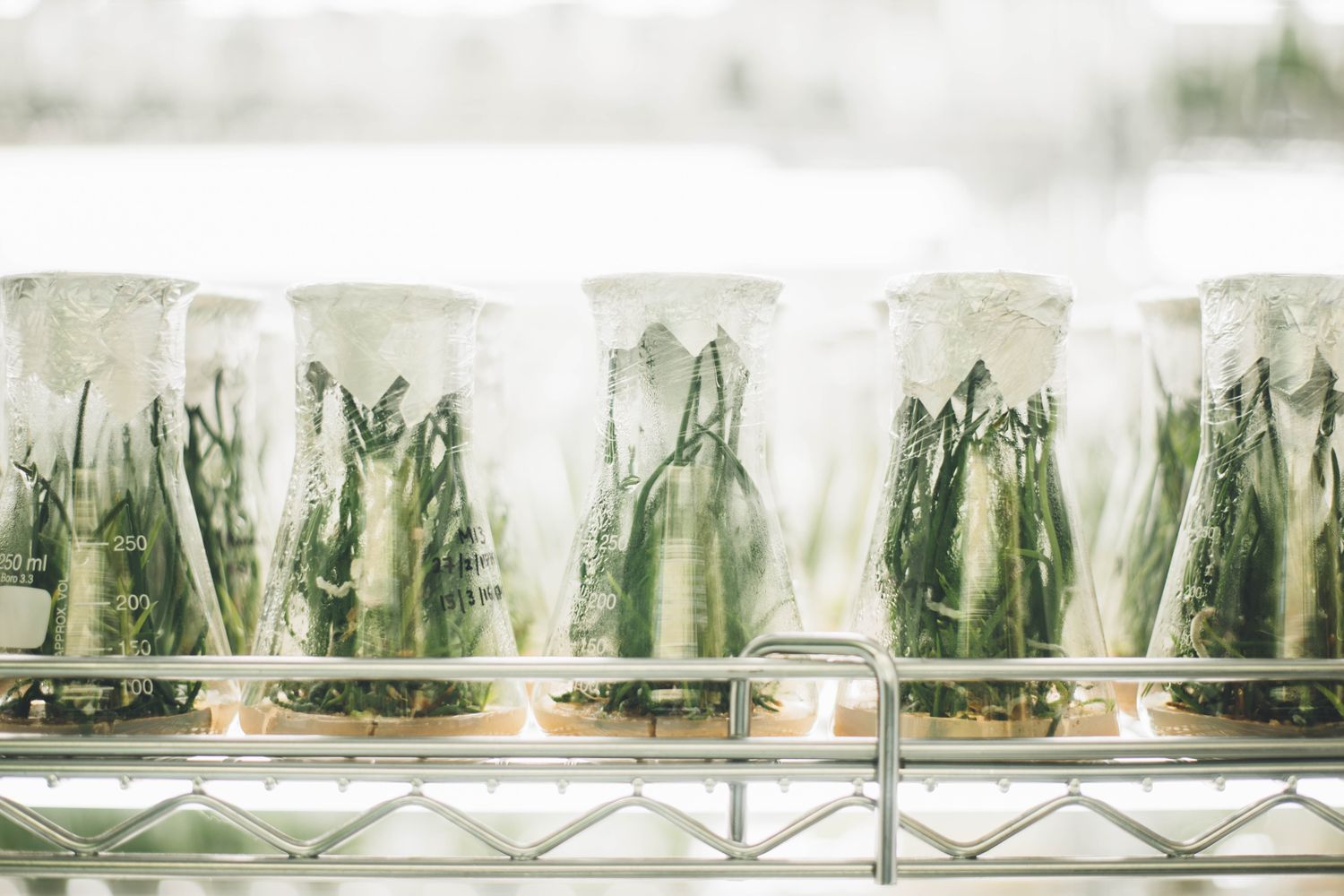 Kosmetická školka - INCI aneb umíme číst složení?