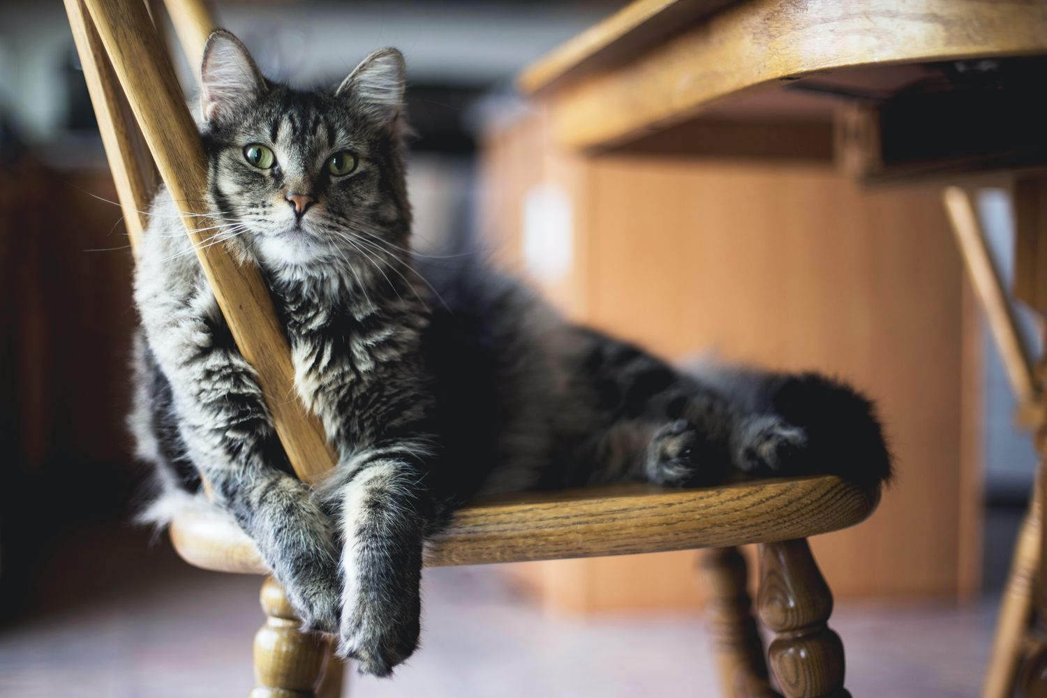 Jak míchat rostlinné barvy na vlasy