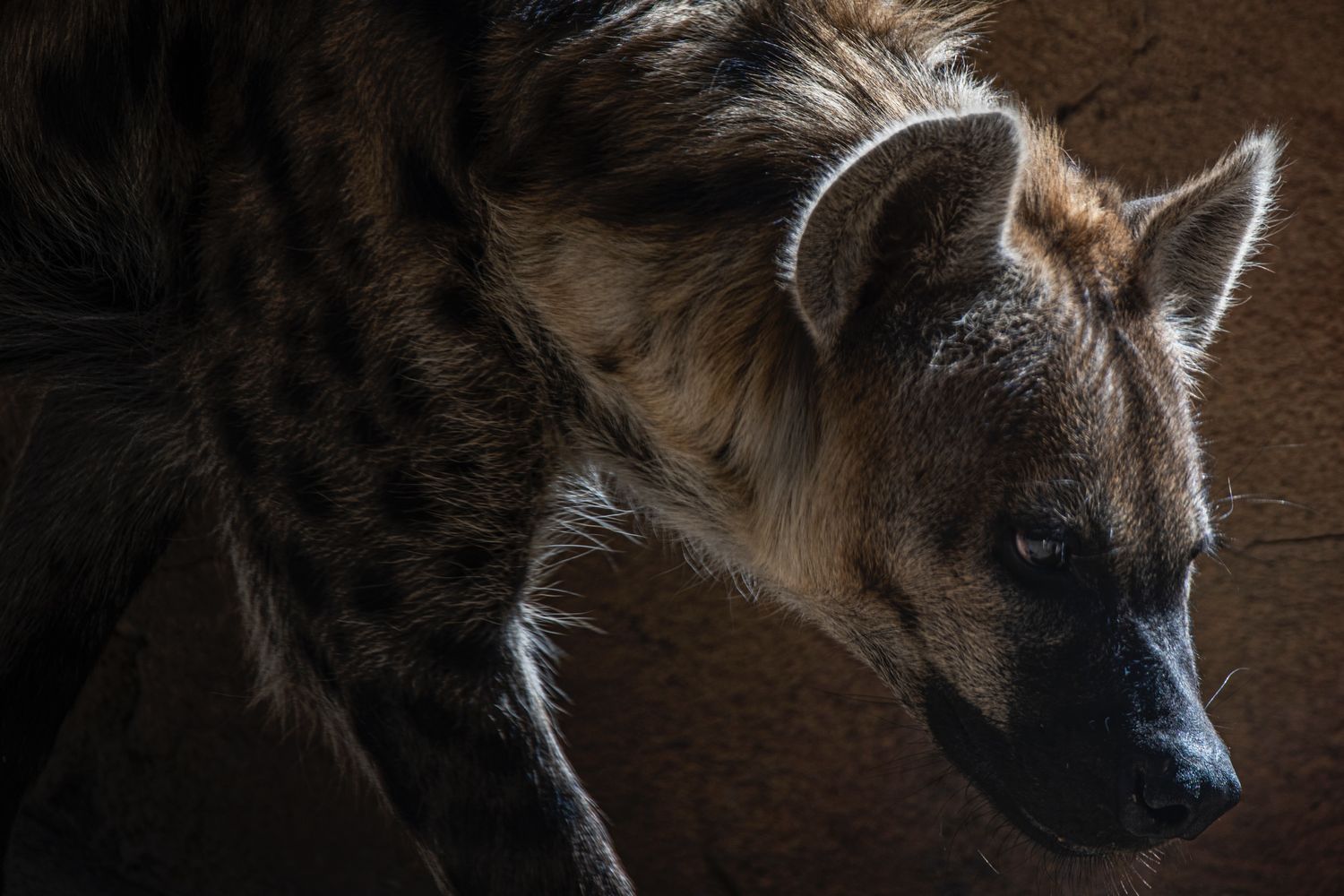 Kosmetická školka - A nezkazí se to?