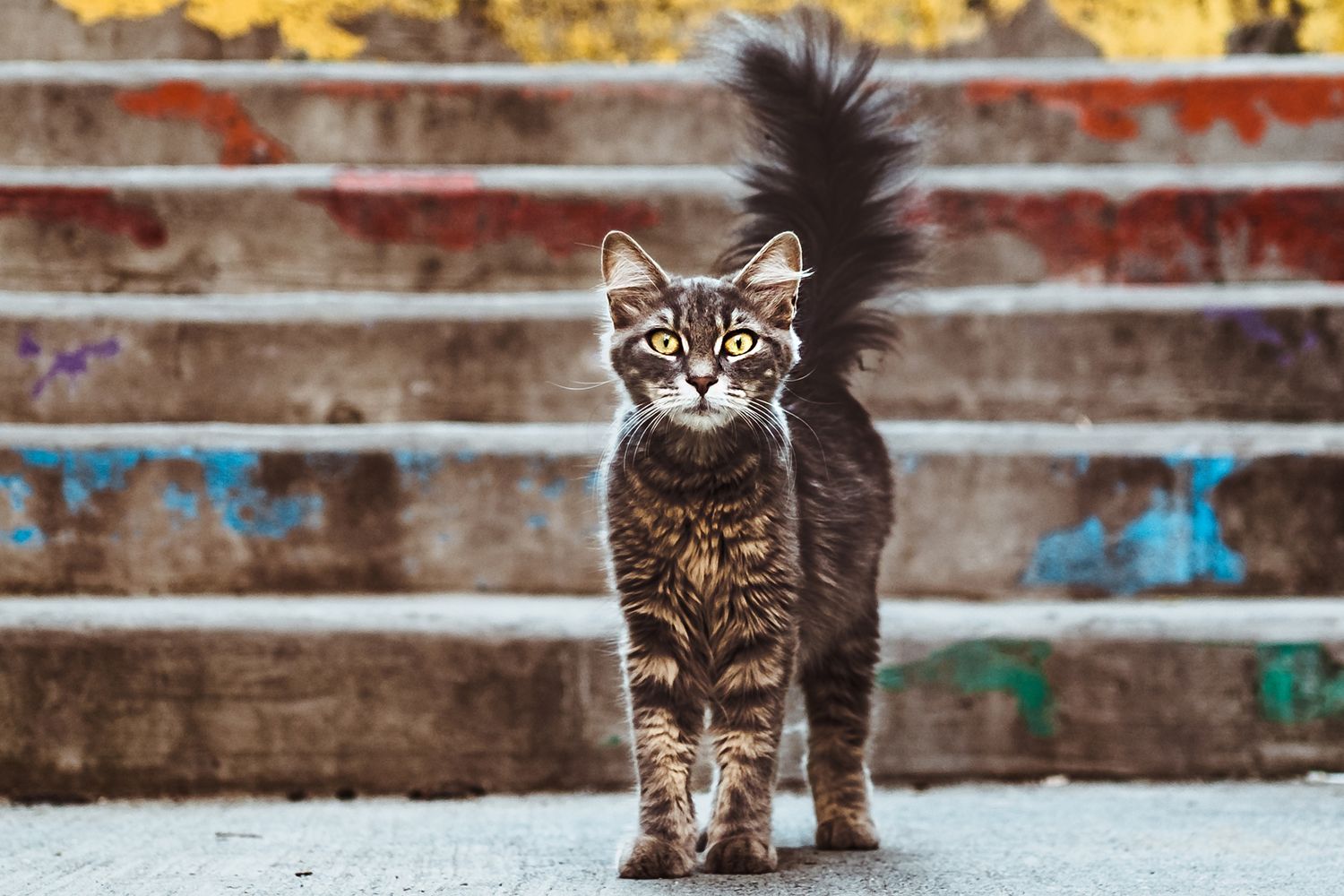 Jak na první šediny