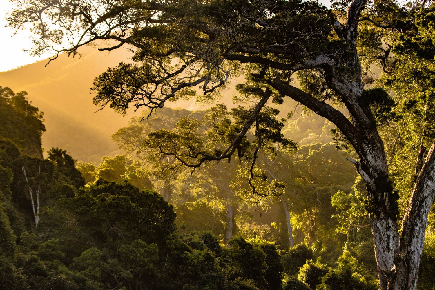 Kosmetická školka - denní, noční, sérum oční