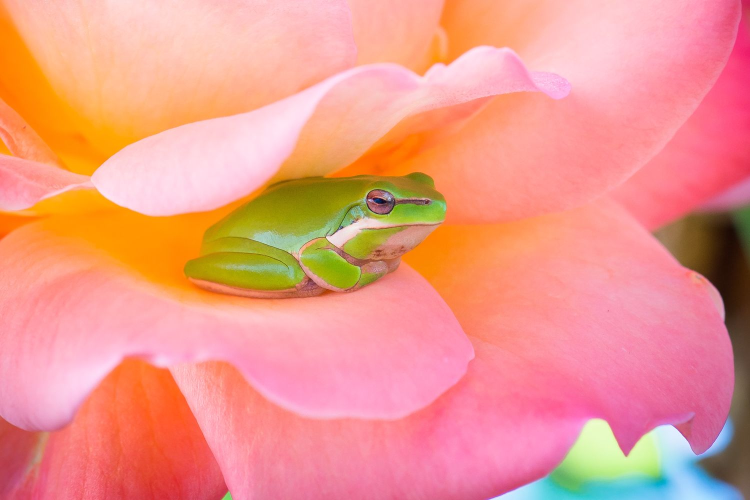 3 největší chyby v péči o pleť