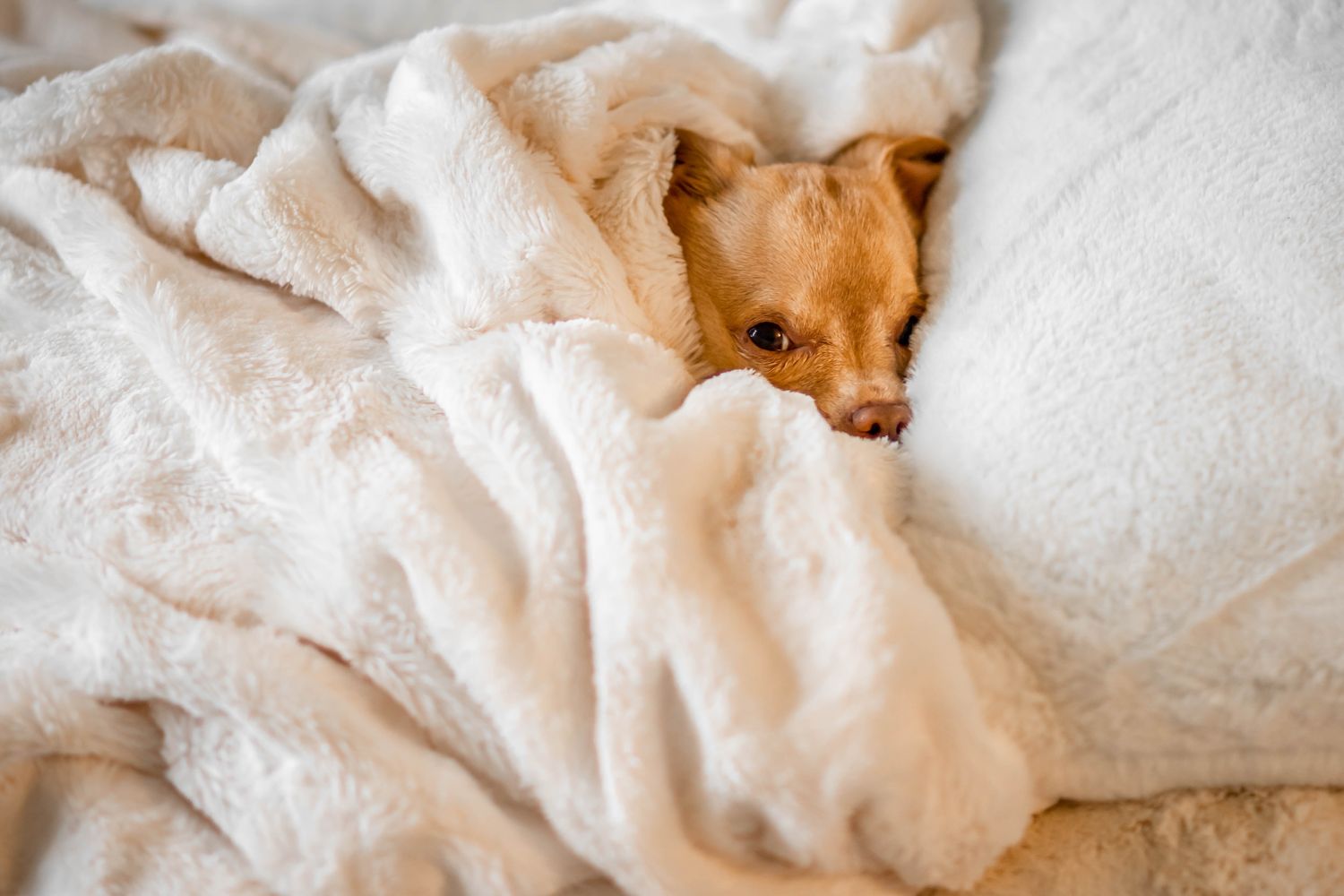 Okamžitá záchrana pro pleť