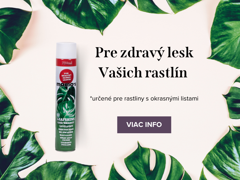 lesk na listy momo's leafshine